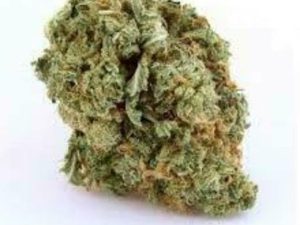 Blue Dream by Good Tree – Buy Legendary West Coast Strain