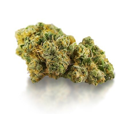 Bruce Banner Marijuana Strain – Buy Powerful Hybrid Online