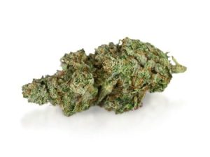Le Pergélisol Variété De Cannabis – Acheter Premium Weed En Ligne Maintenant