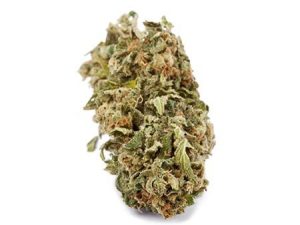 Acheter Pineapple Express Variété De Cannabis En Ligne – Rapide & Facile