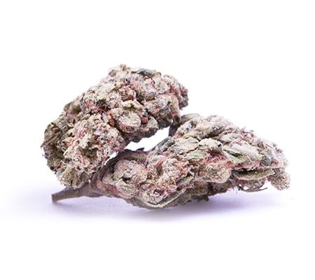 Comprar Snowcap Variedad De Cannabis En Línea – Fast & Energizante