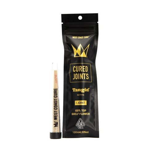 Tangie Pré-Roll - 1g | Acheter de la Prime d'Agrumes Bliss en Ligne