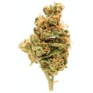 Buy Hindu Kush Online – Fast & Relaxing Indica Strain