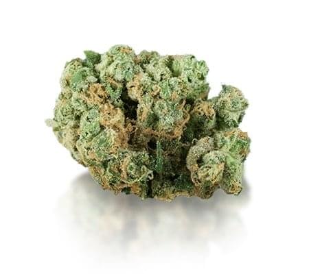 Vásároljon Prémium Sour Diesel Kannabisz Törzs A Neten Gyorsan