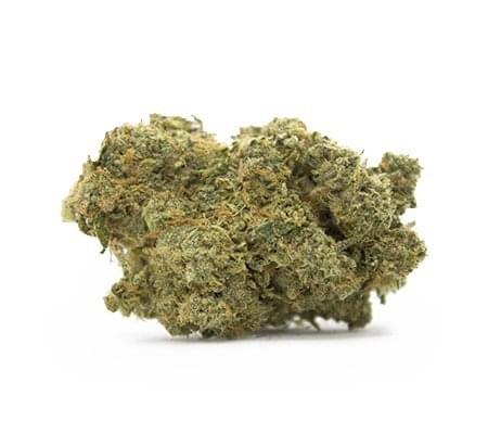 Buy Voodoo Marijuana Strain Online – Premium & Potent
